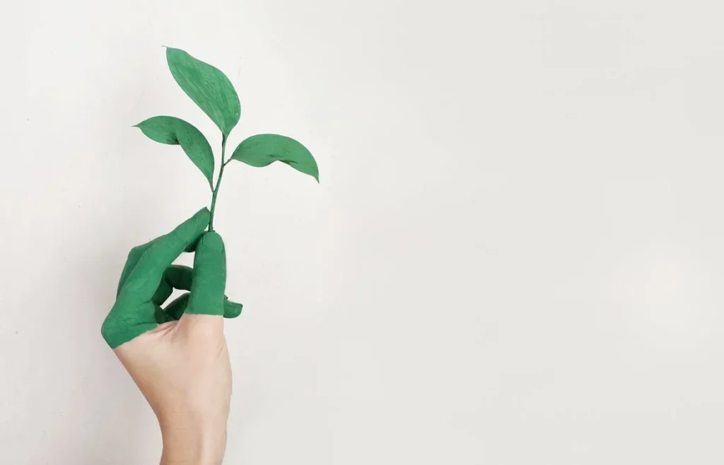 The materials and processes involved in manufacturing, maintaining, and disposing of prosthetics can have a significant environmental footprint.