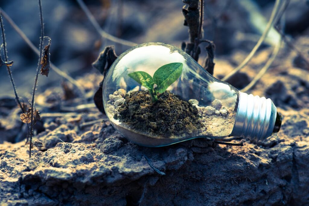 Traditional cleaning agents often contain harsh chemicals that can harm the environment when washed away into water systems. Switching to biodegradable or plant-based cleaning solutions ensures that your prosthetic is cleaned effectively without contributing to pollution.