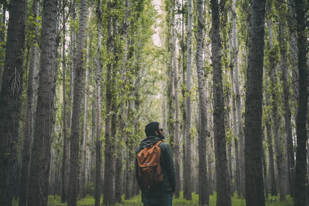 Find the best prosthetic feet for hiking and outdoor activities. Discover durable, high-performance options designed for rough terrain and comfort.