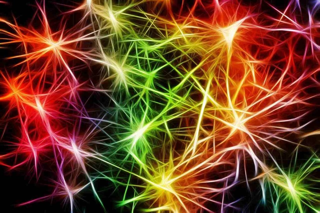 Adaptive Control Systems in Bionics: A Neuroplasticity Perspective