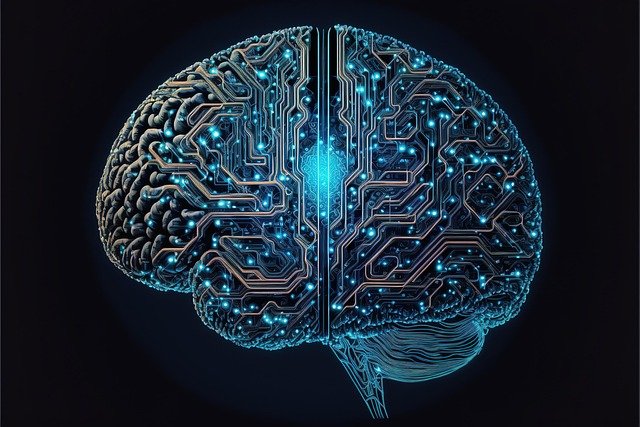 How the Brain Learns a New Hand: Insights into Bionic Neuroplasticity